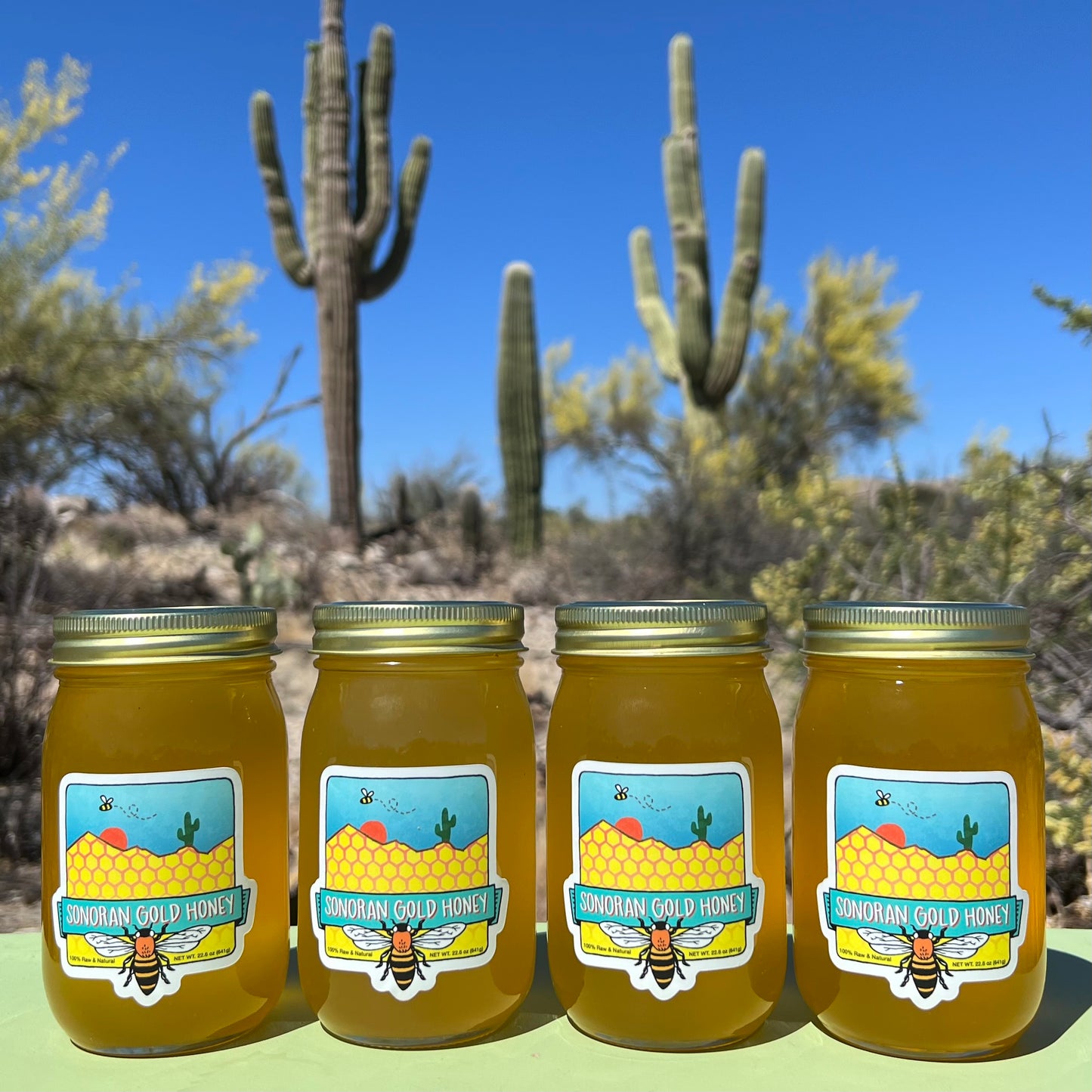 Four 16oz Jars of Sonoran Gold Honey - Sonoran Gold Honey