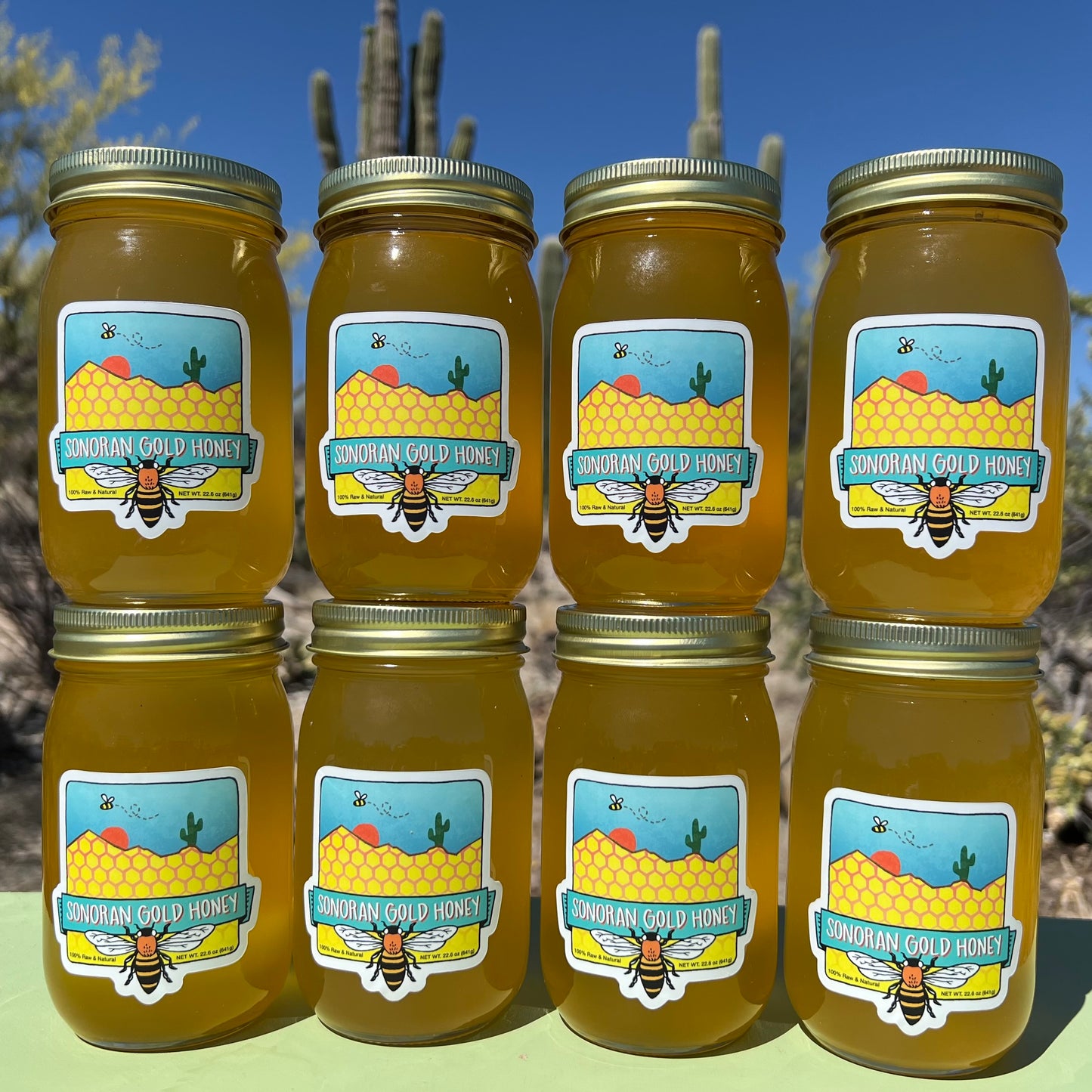 Eight 16oz Jars of Sonoran Gold Honey - Sonoran Gold Honey