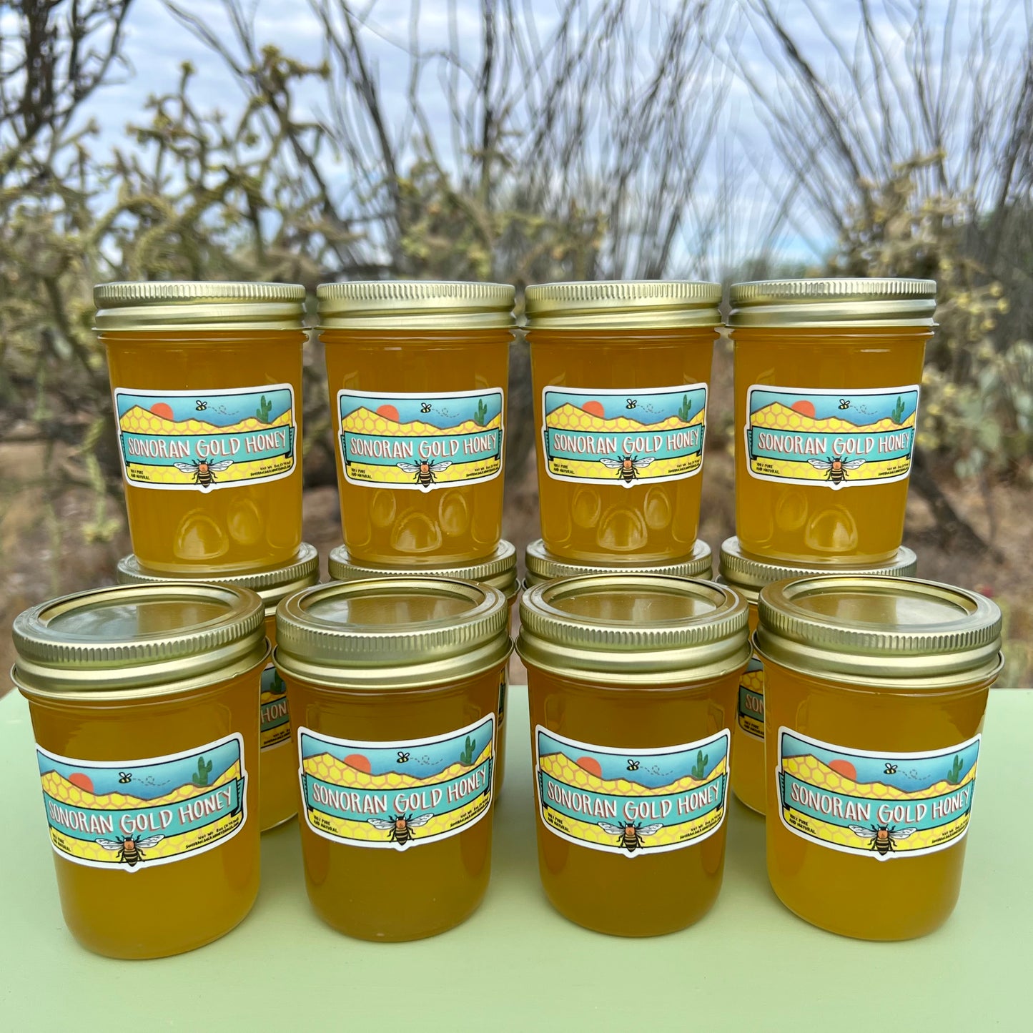 Twelve 8oz Jars of Sonoran Gold Honey