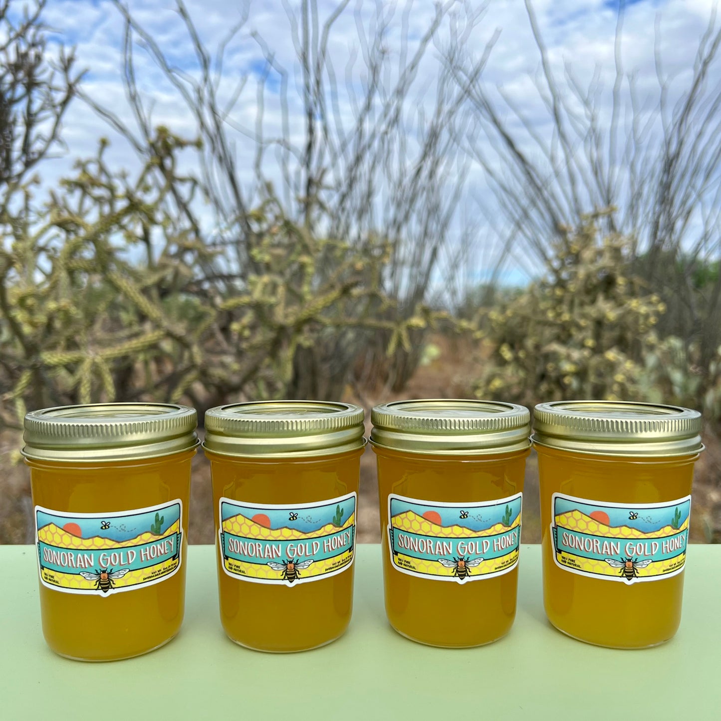 Four 8oz Jars of Sonoran Gold Honey (Shippable)