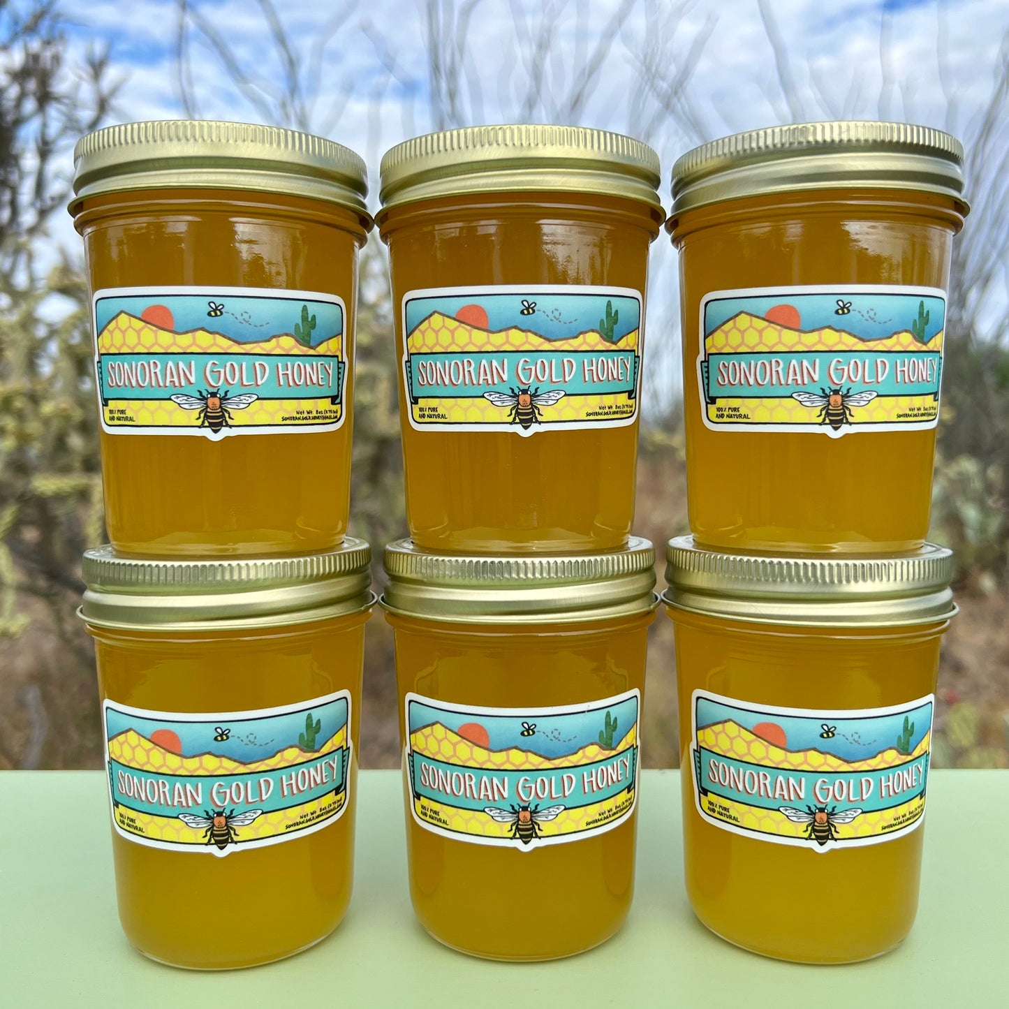 Six 8oz Jars of Sonoran Gold Honey
