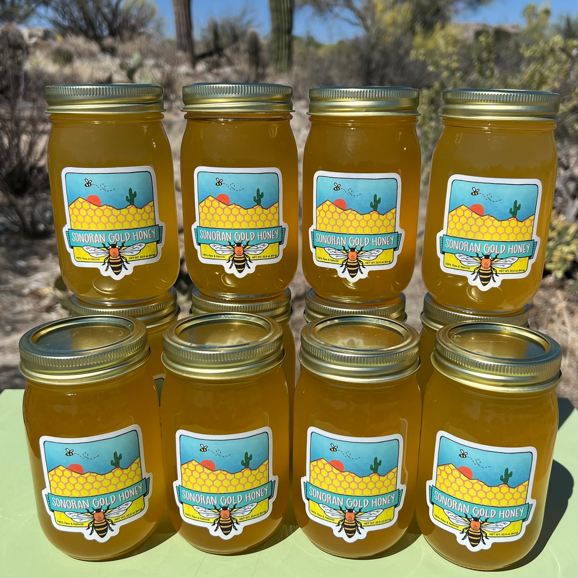 Twelve 16oz Jars of Sonoran Gold Honey - Sonoran Gold Honey 