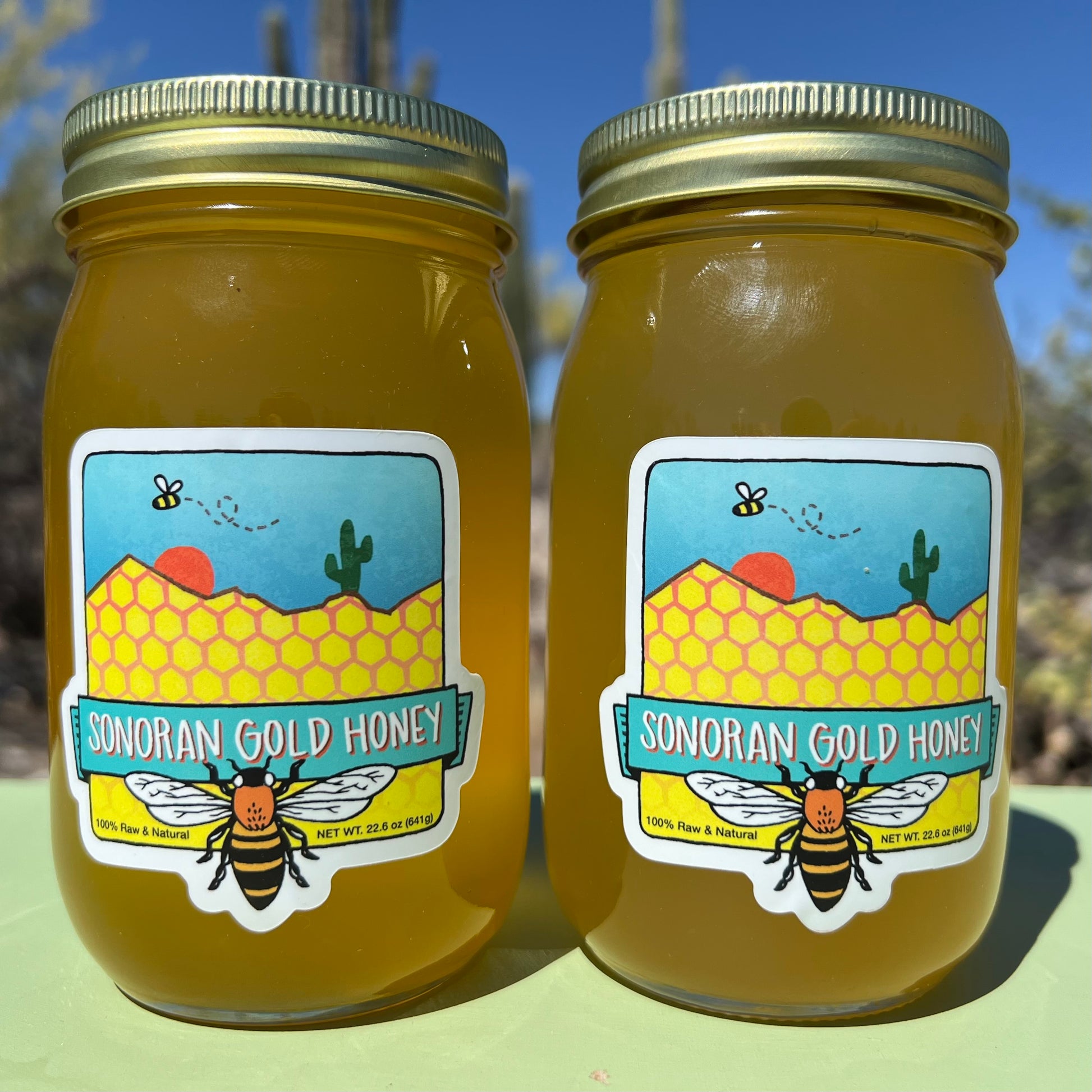 Two 16oz Jars of Sonoran Gold Honey - Sonoran Gold Honey 