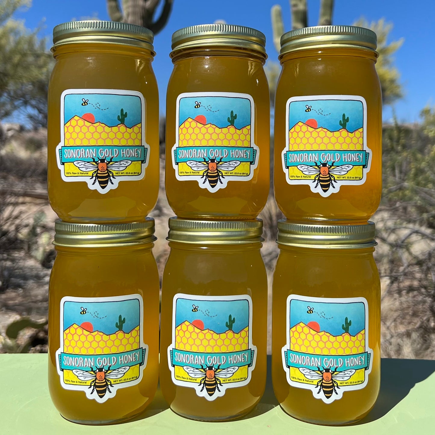 Six 16oz Jars of Sonoran Gold Honey - Sonoran Gold Honey 