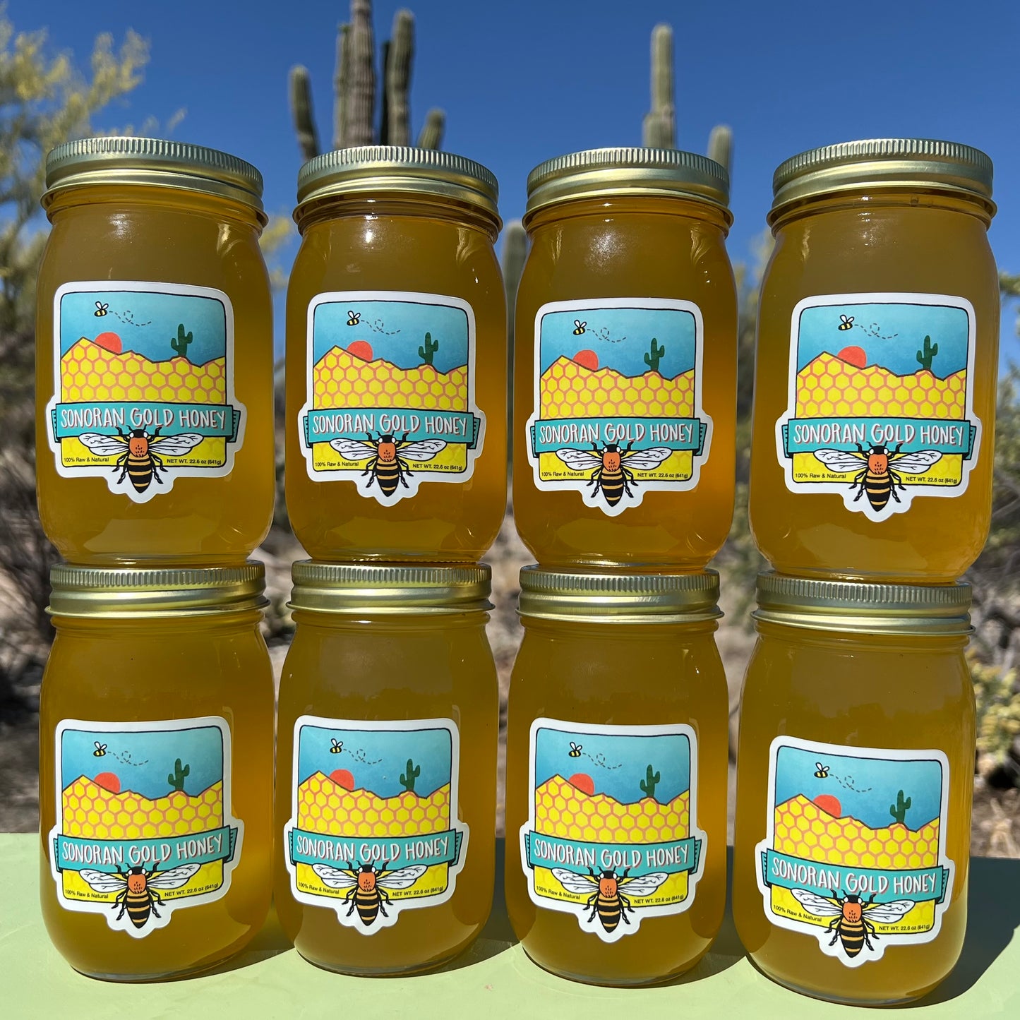 Eight 16oz Jars of Sonoran Gold Honey - Sonoran Gold Honey 